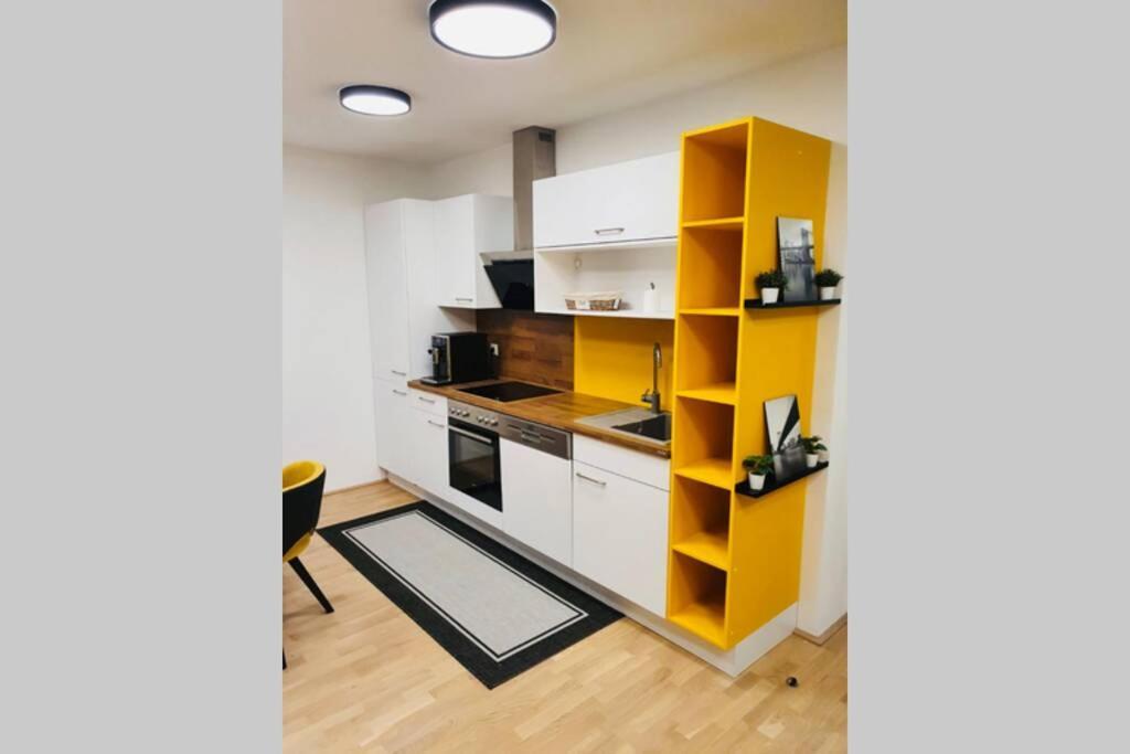 Leon Apartment Neu! Gemuetlichkeit An Erster Stelle 林茨 外观 照片